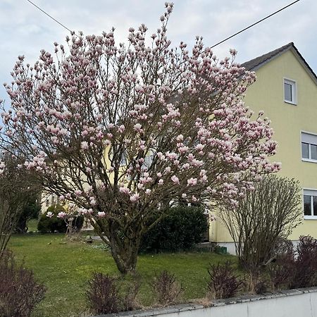 W&P Living Wohnung Mit Ausblick - Parkplatz Biberbach  Экстерьер фото