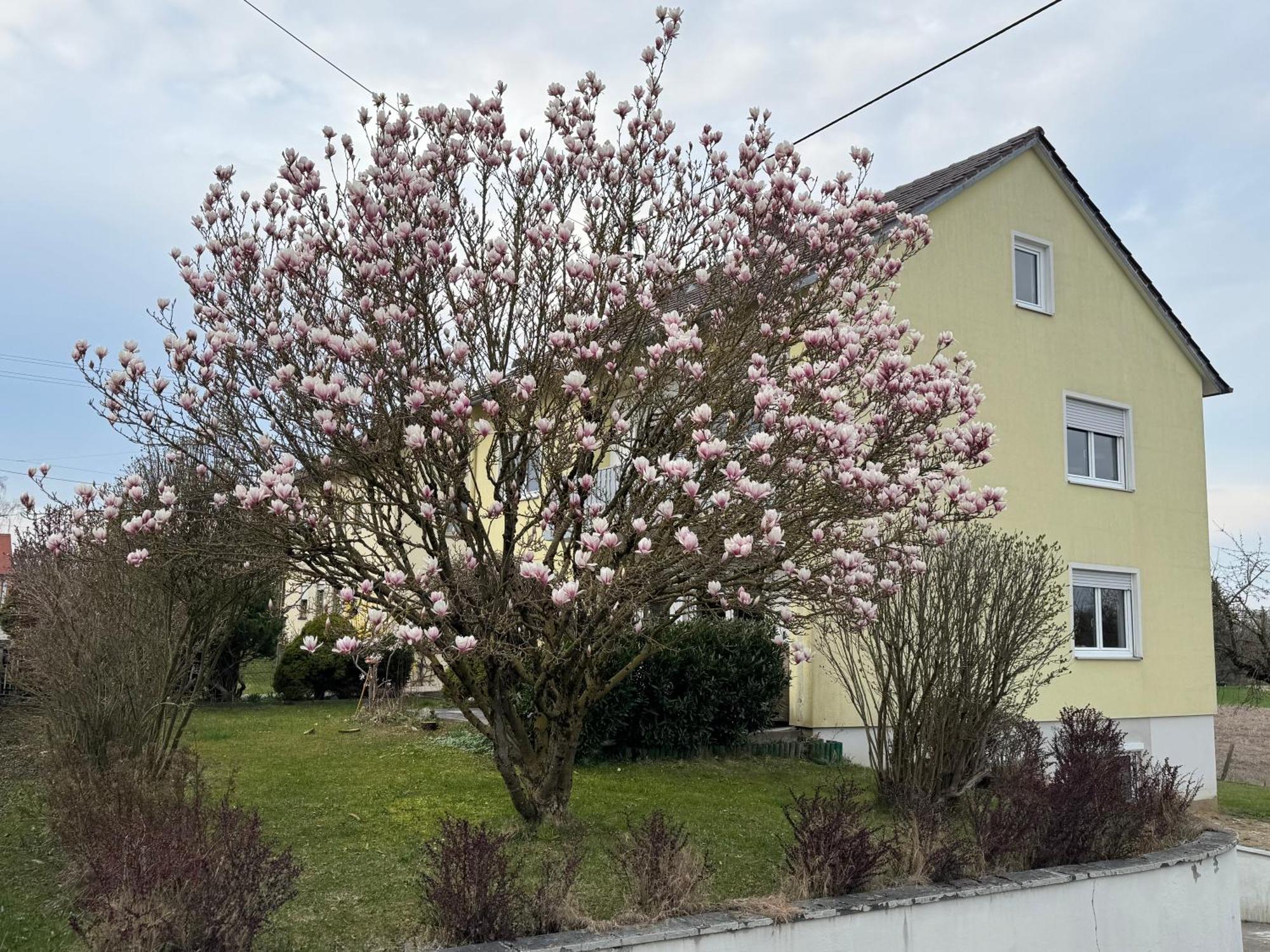 W&P Living Wohnung Mit Ausblick - Parkplatz Biberbach  Экстерьер фото